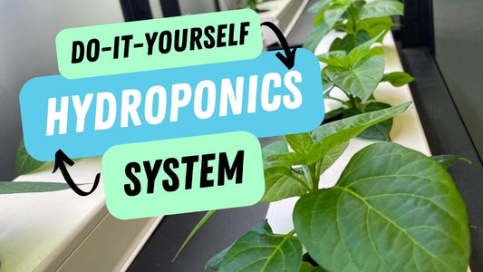 DIY Hydroponic system aquaponics nft channels nutrient film technique nft hydroponics indoor garden herb garden indoor growing system