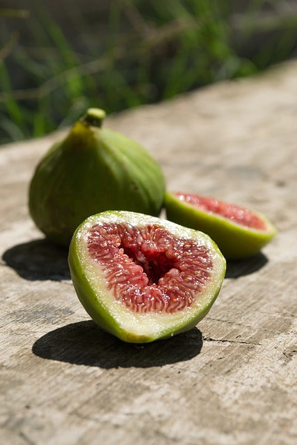 Embark on a Fig Farming Adventure: From Mediterranean Mystique to Your Backyard
