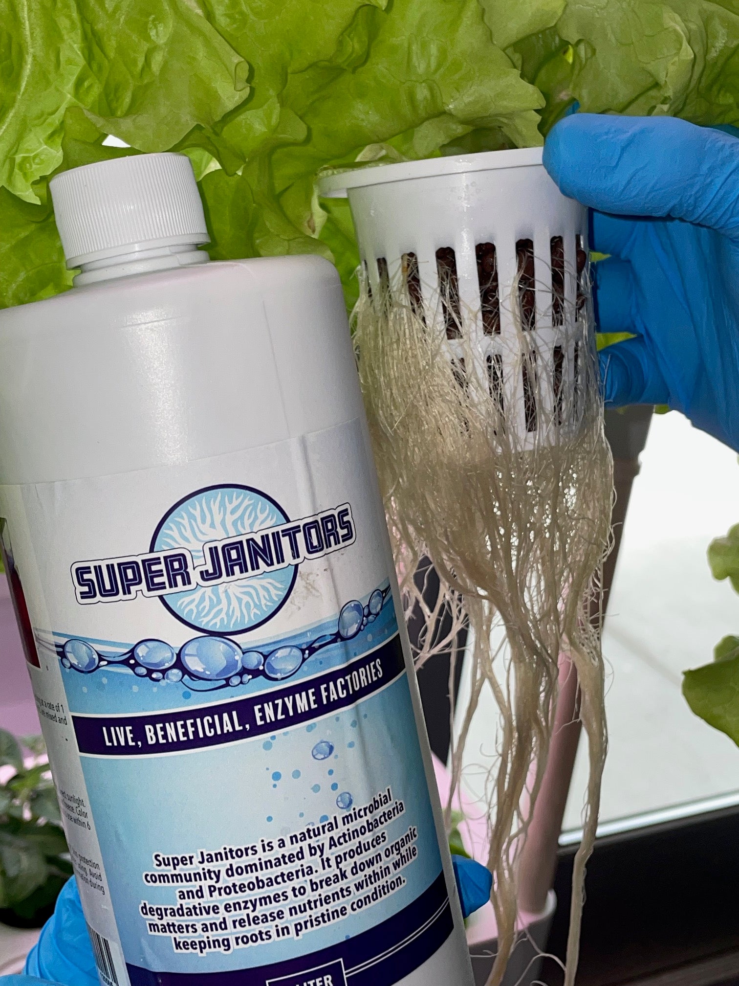 Super Janitors -Beneficial Enzymes for Hydroponic Root Health - Green Valley Hydroponics